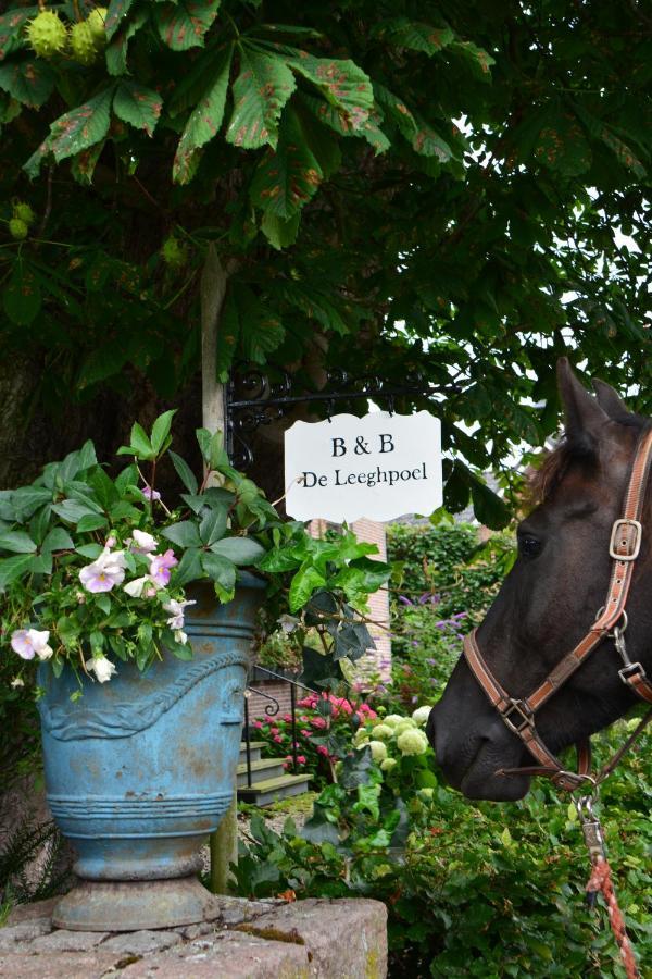 B&B De Leeghpoel Rumpt Luaran gambar